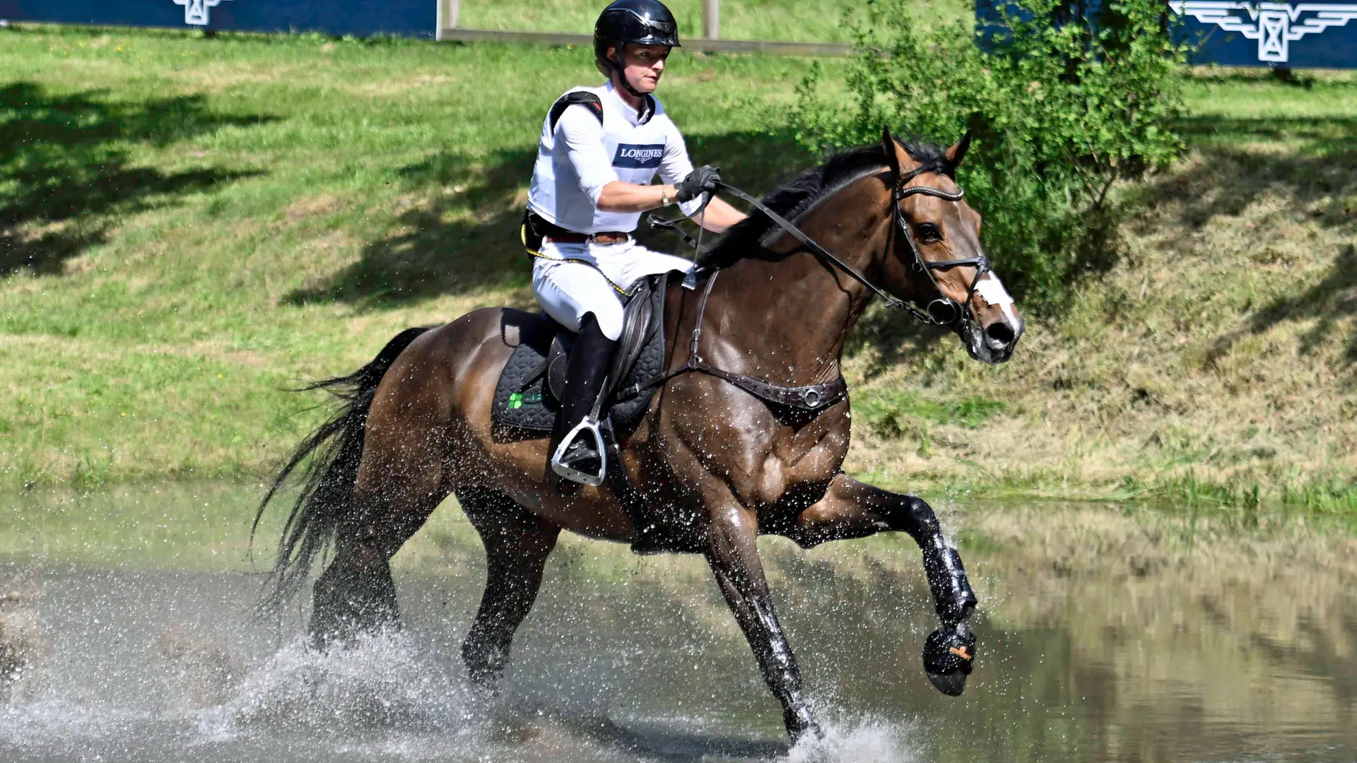 luhmühlen