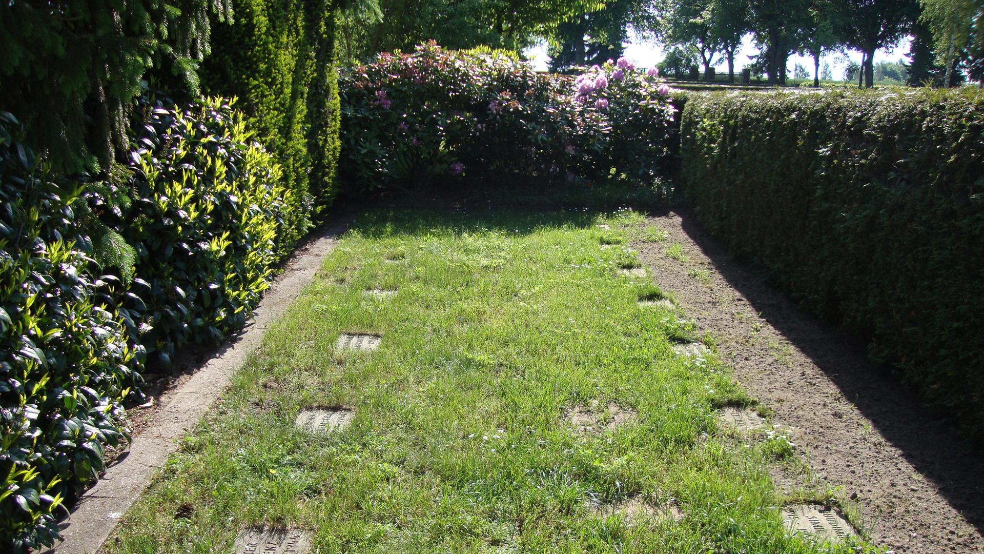 Grabsteine auf einer grünen Wiese. | 