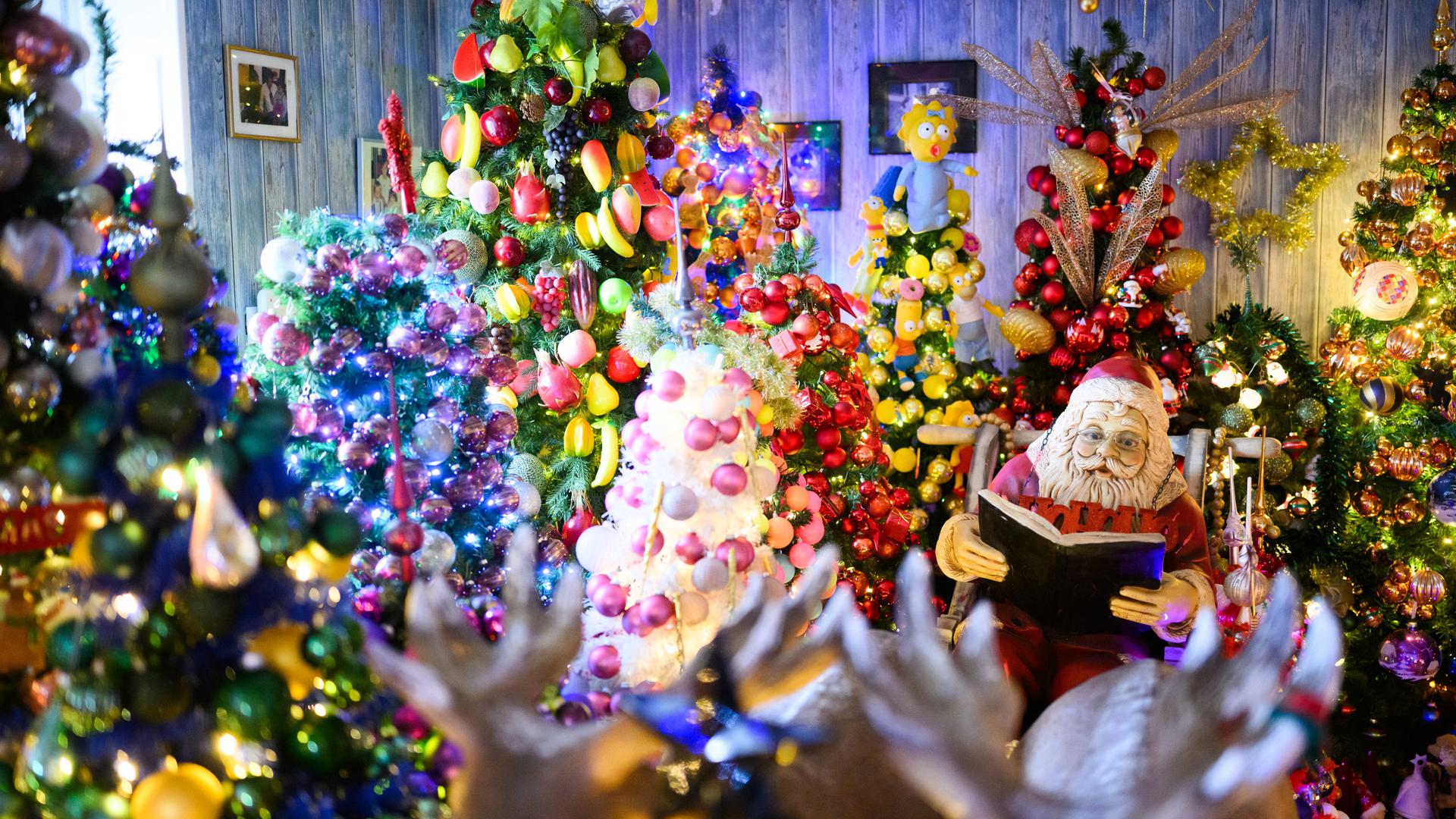 Weihnachtsbäume stehen im Haus der Familie Jeromin im Landkreis Schaumburg | dpa-Bildfunk, Julian Stratenschult