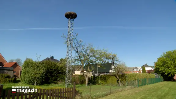 Ein Blick auf einen Turm mit einem Storchennest