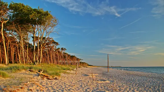 Der Weststrand auf dem Darß zeigt sich an vielen Stellen wildromantisch. | NDR , Anke Hasunik aus Grimmen Weststrand auf dem Darß im Abendlicht.