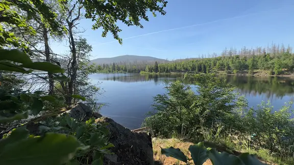 Blick über die Eckertalsperre zum Brockenplateau.