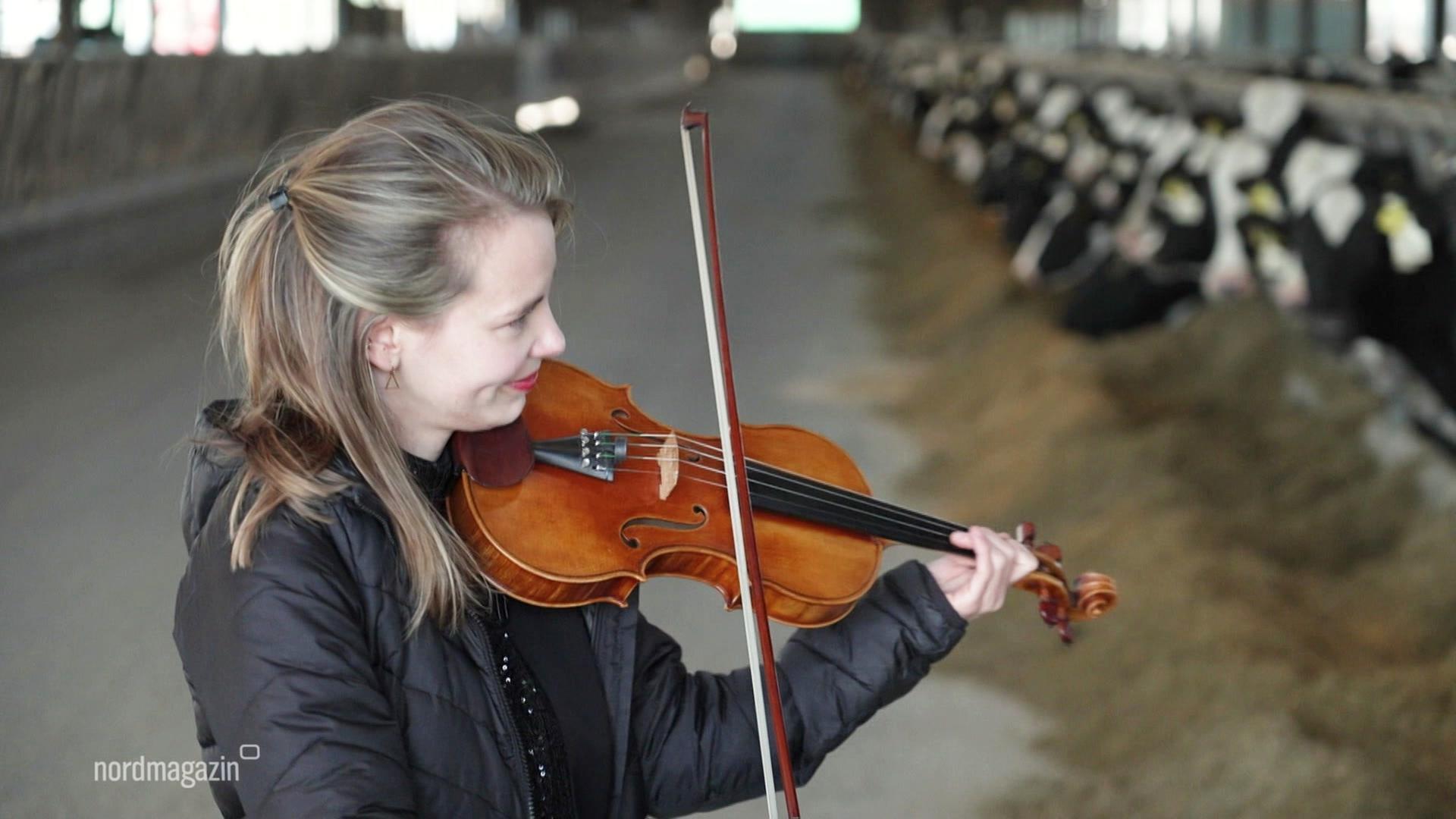 Preisträger in Residence: Armida-Quartett bei Festspielen MV