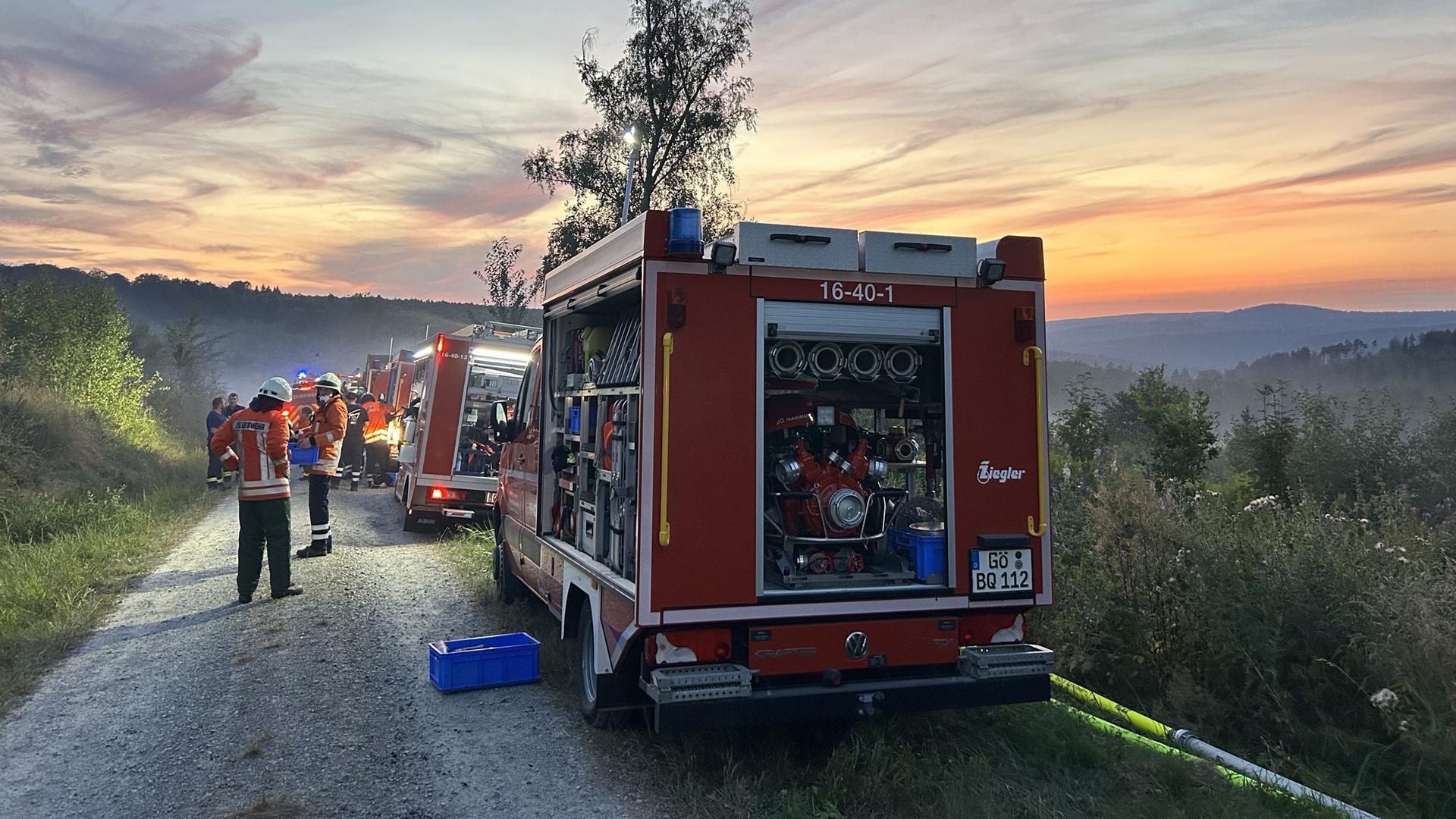 Einsatzwagen der Feuerwehr stehen in einer abendlichen Waldlandschaft | NDR/Isabell Kramer