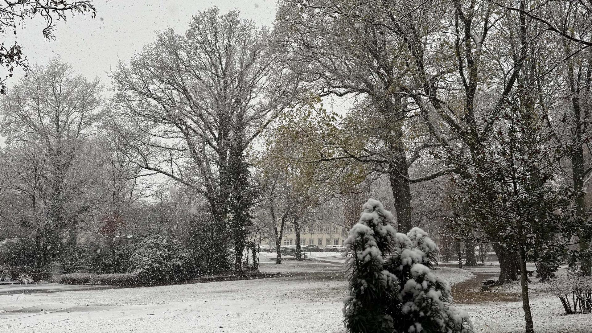 Wetter in Norddeutschland: Schnee und Glätte erwartet