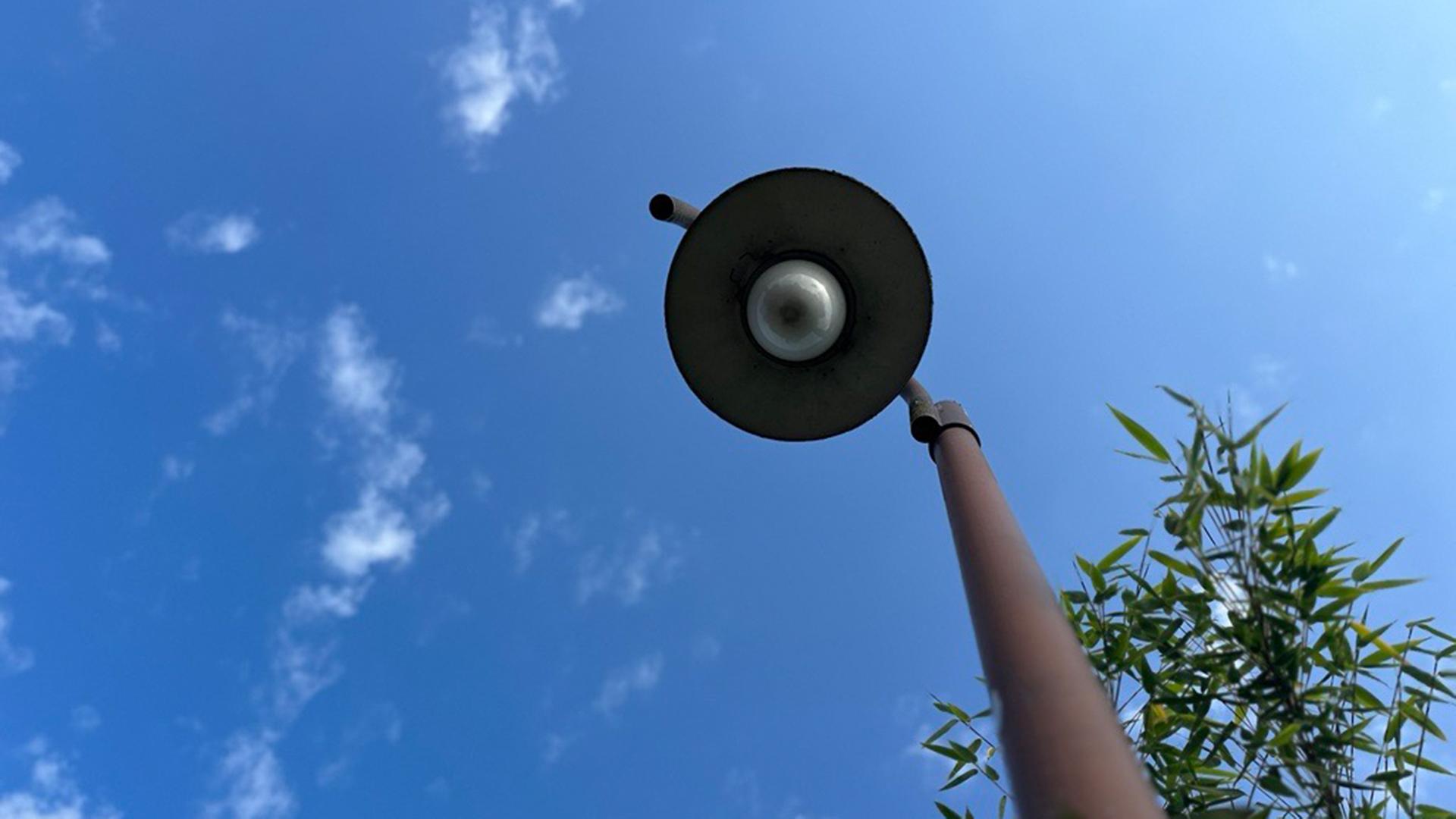 Rostock: Wartungsarbeiten an der Stadtautobahn