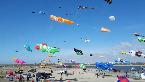 In Büsum steigen wieder zahllose Drachen in den Himmel. | NDR, Dorothea Rieber Zahlreiche bunte Drachen steigen bei den Büsumer Drachenflugtagen am Strand in die Luft.