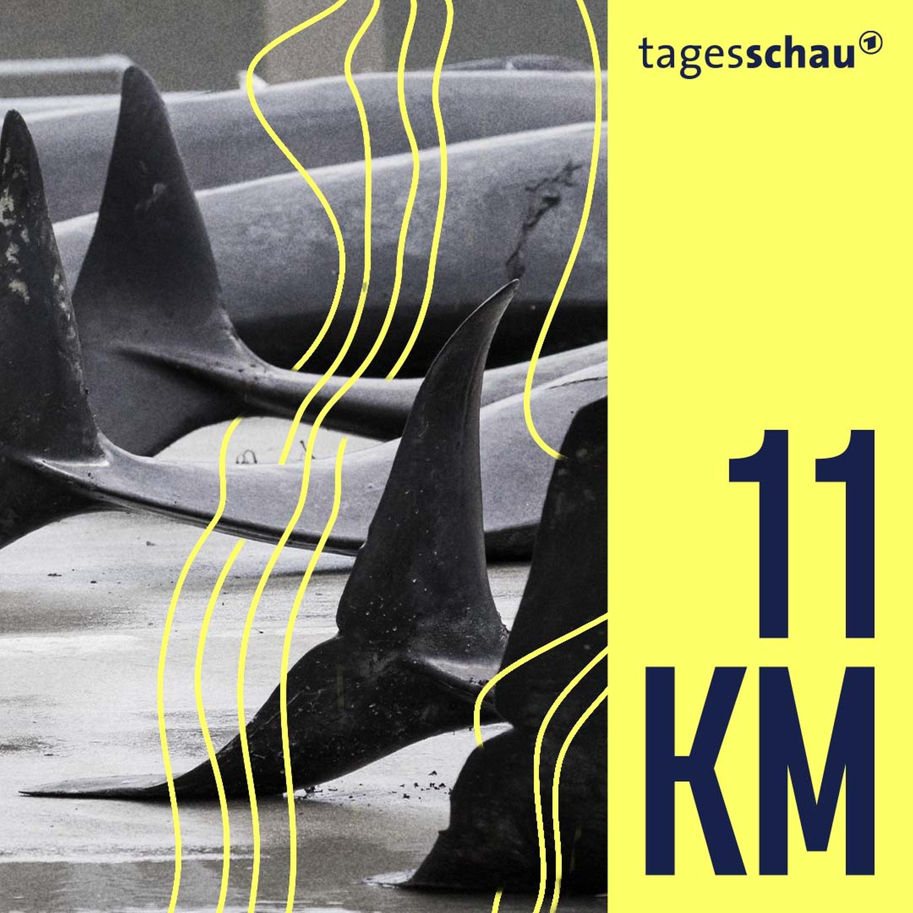 11KM: der tagesschau-Podcast