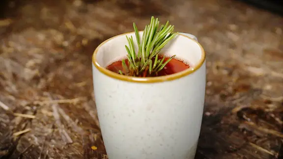 Rosmarin-Cranberry-Punsch