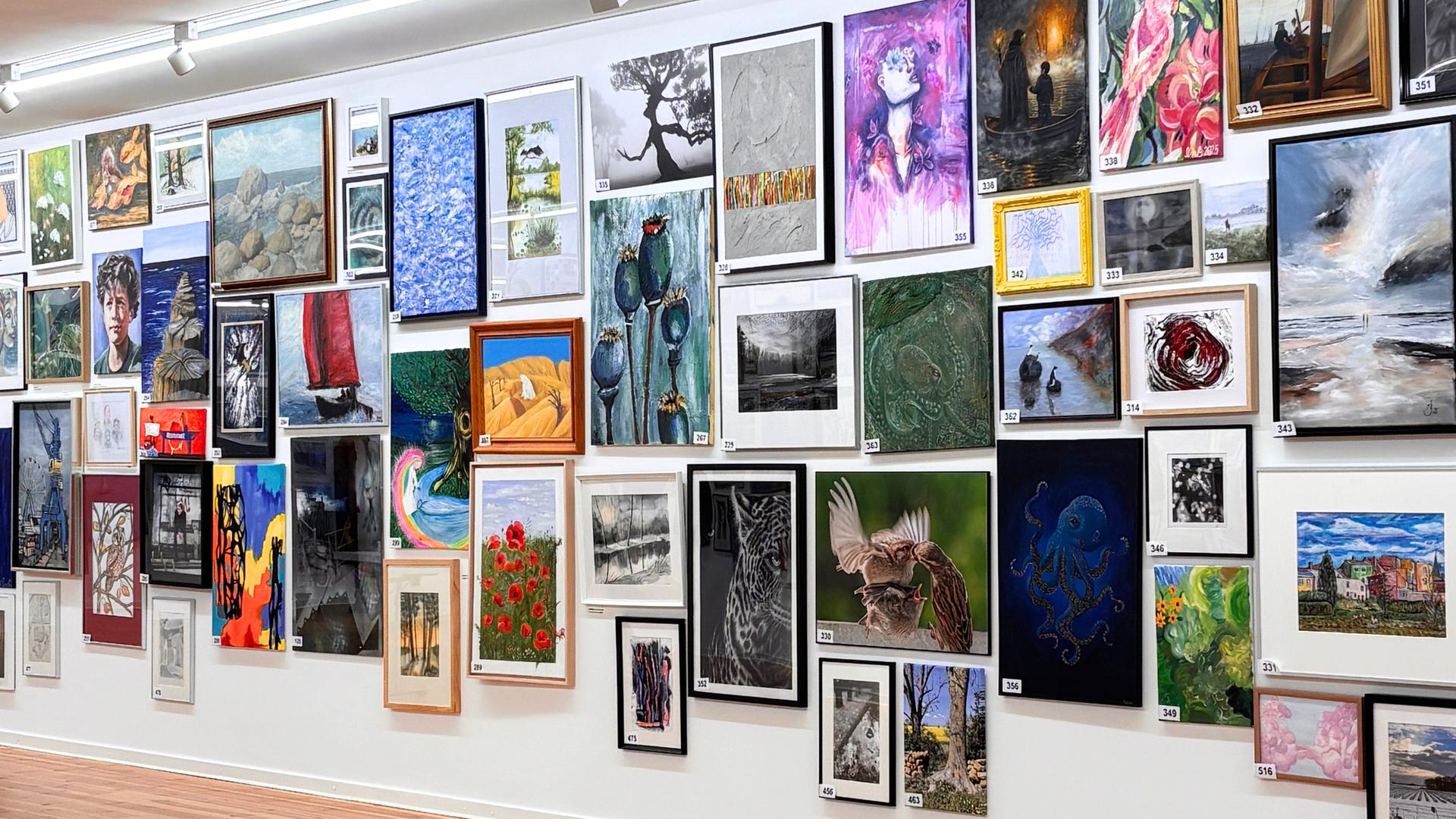 Hobbykünstler stellen Werke in Rostocker Kunsthalle aus