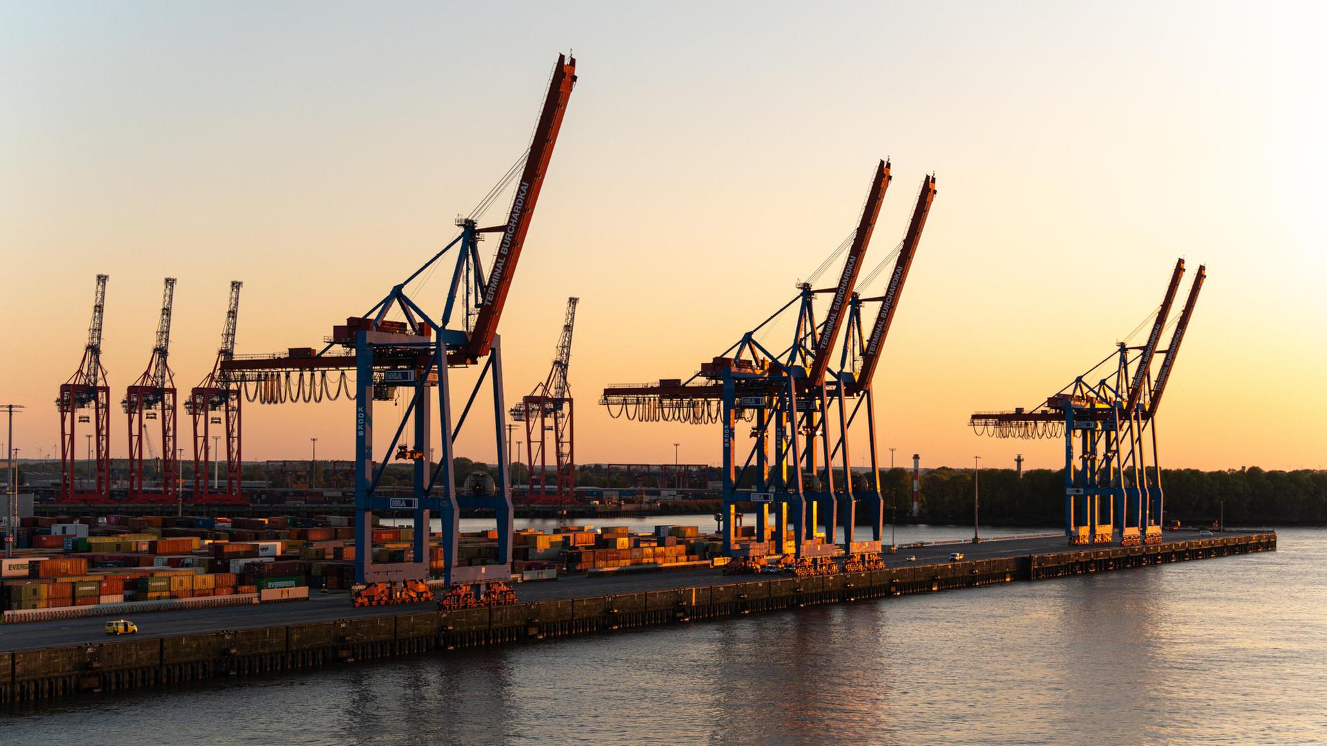 Analyse: Hamburger Hafen profitiert von neuer Ordnung bei Reedern