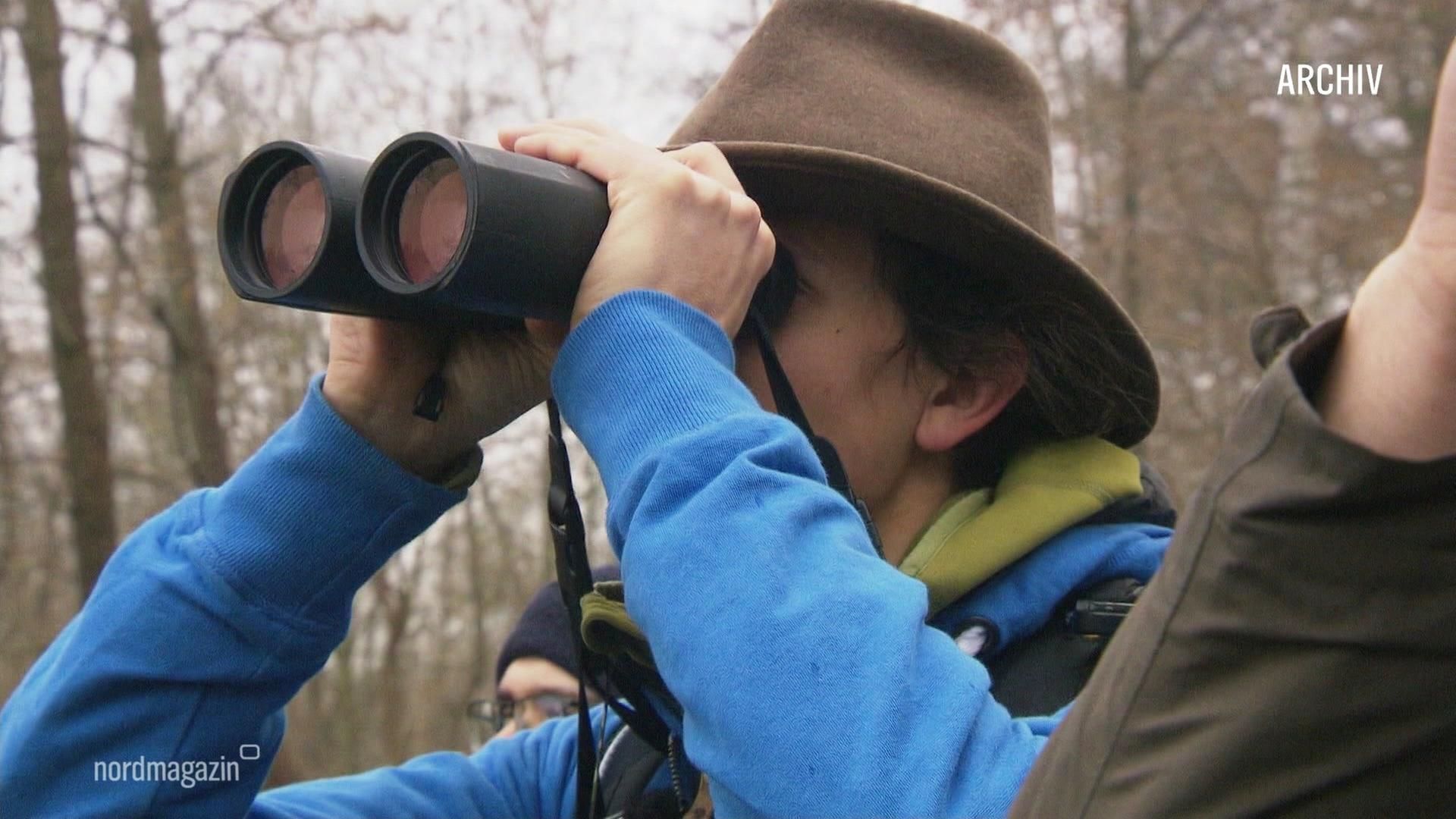 Naturschutzbund lädt zur „Stunde der Wintervögel“ ein