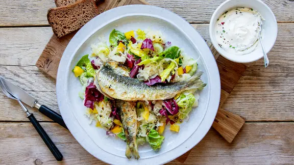 Ein Teller mit Saukrautsalat, darauf zwei gebratene Heringe.