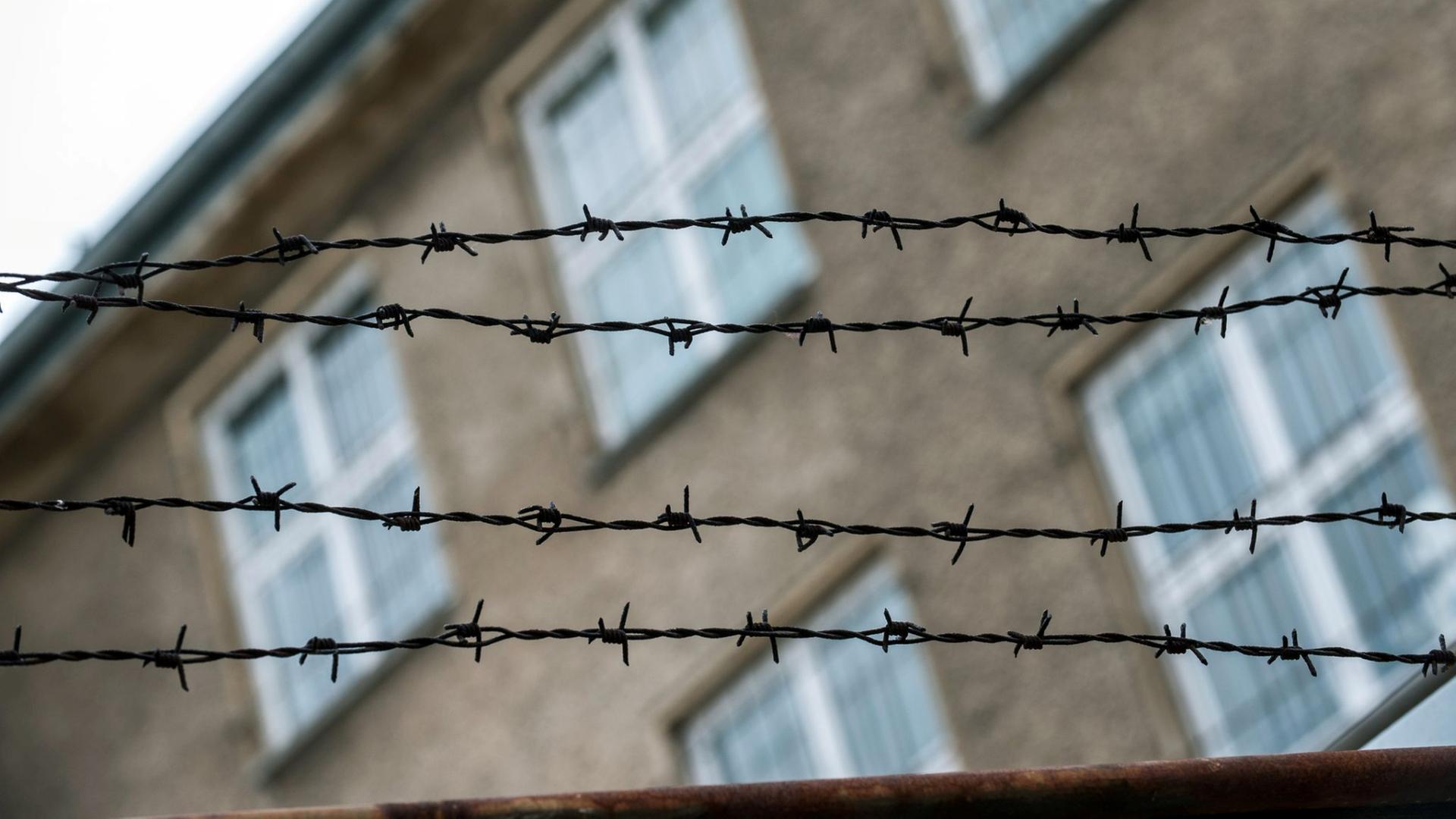 Stacheldraht ist vor dem ehemaligen Zellentrakt einer Stasiopfer-Gedenkstätte zu sehen. (Themenbild) | Paul Zinken/dpa
