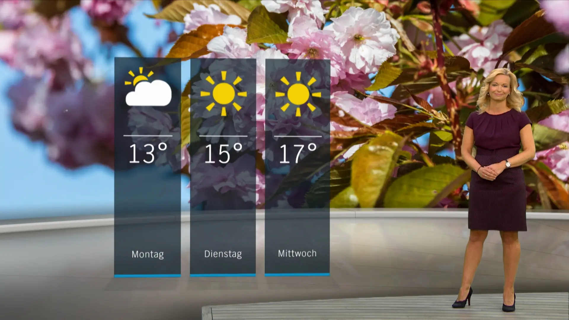 So wird das Wetter in Schleswig-Holstein