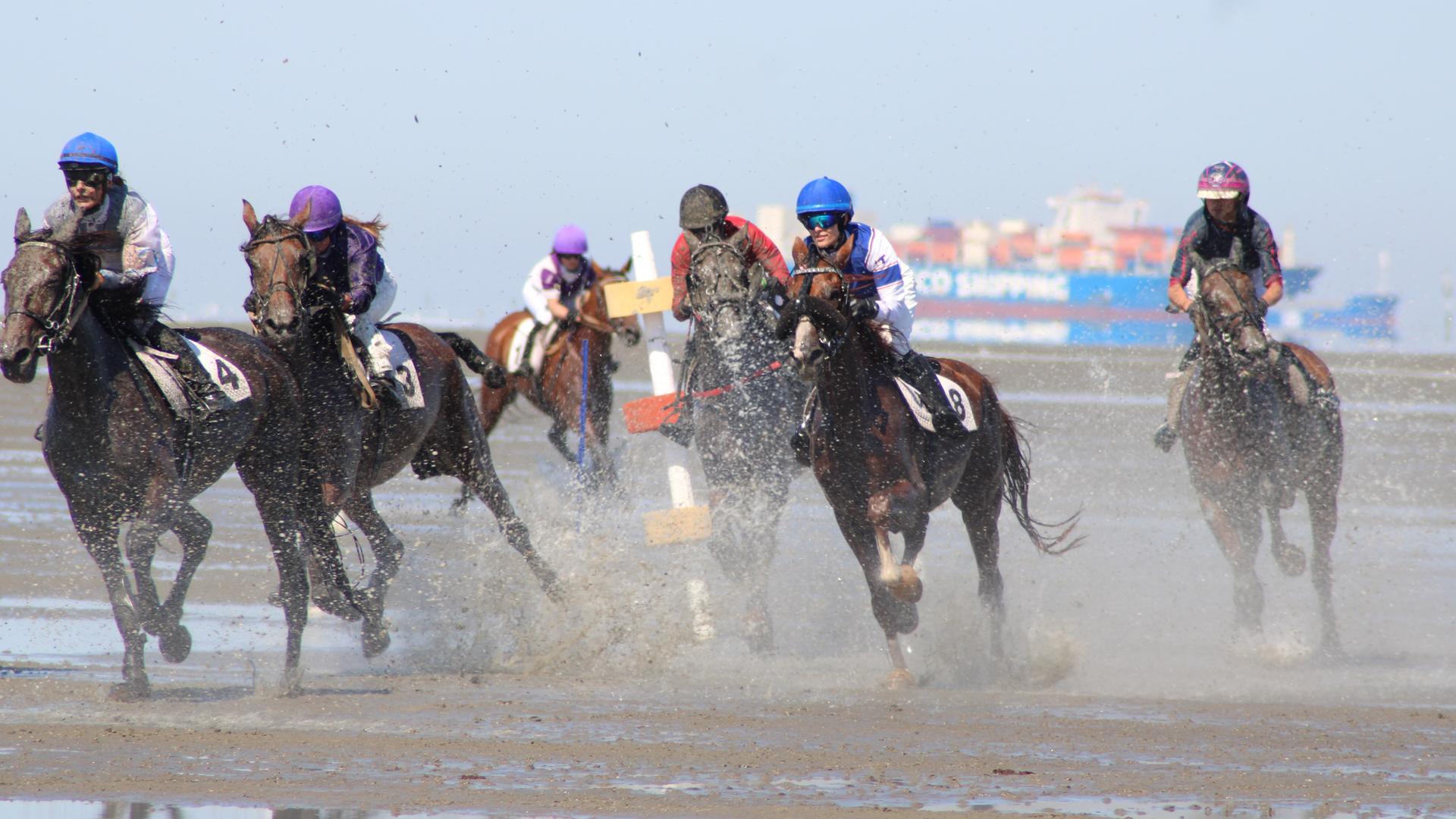 Galopper reiten im Rahmen des Duhner Wattrennens in Cuxhaven durch das Watt. | picture alliance/dpa | Kai Moorschlatt