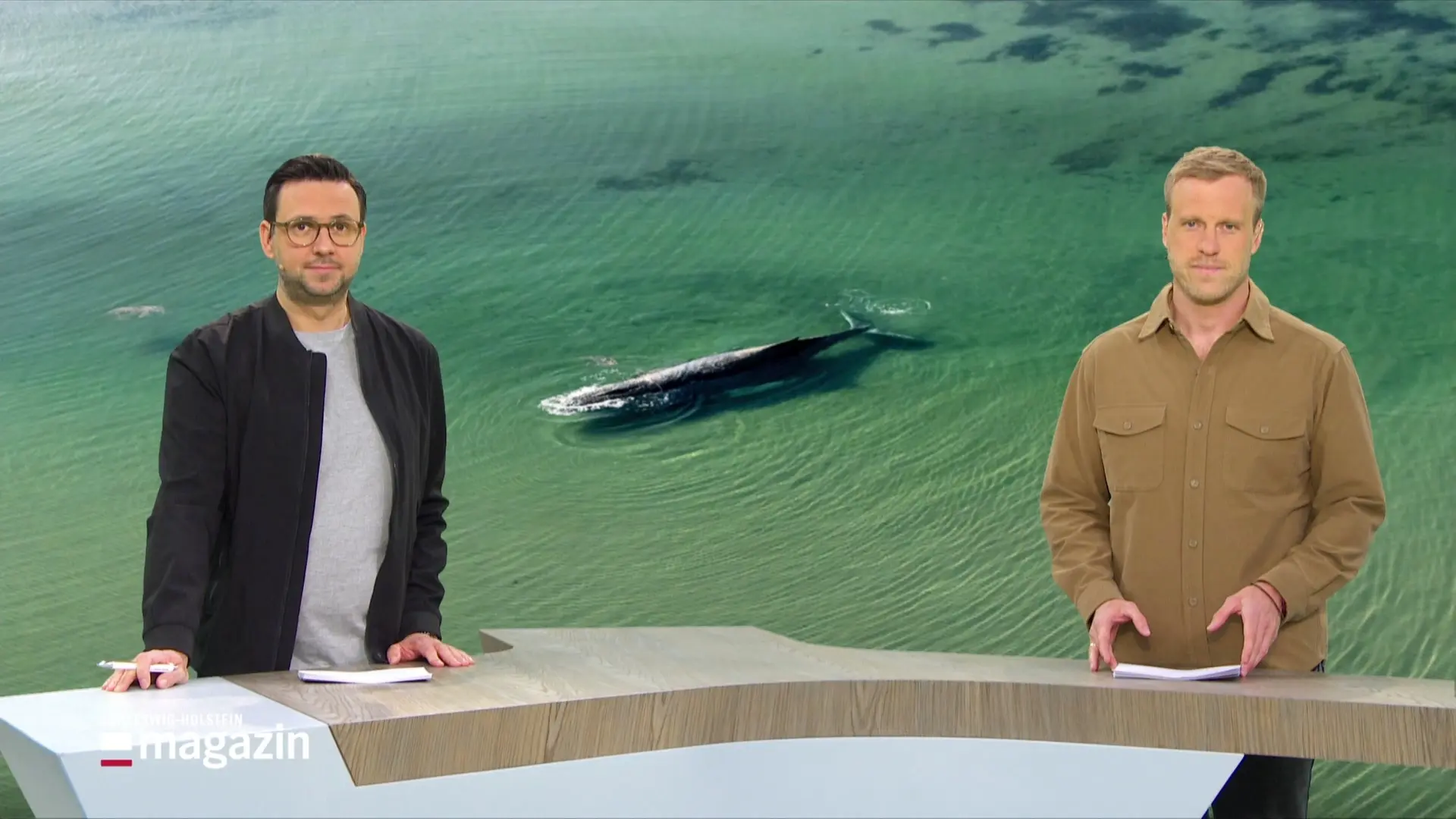 Schleswig-Holstein Magazin | 25.03.2026