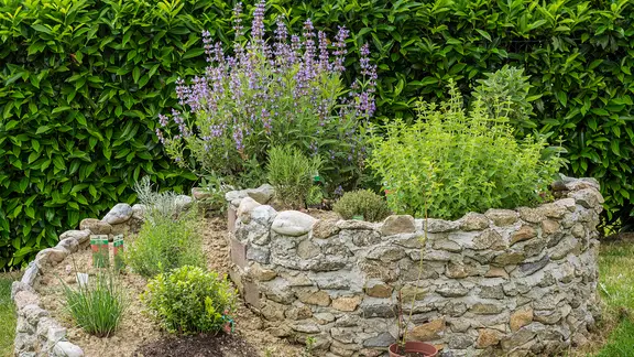 Eine Kräuterspirale mit diversen Kräutern.