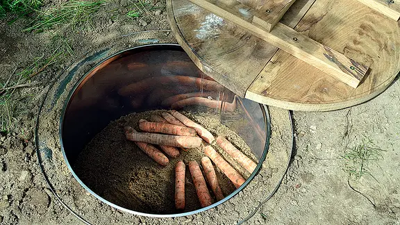 In einem Erdkeller liegen Mohrrüben, daneben eine Abdeckung aus Holz