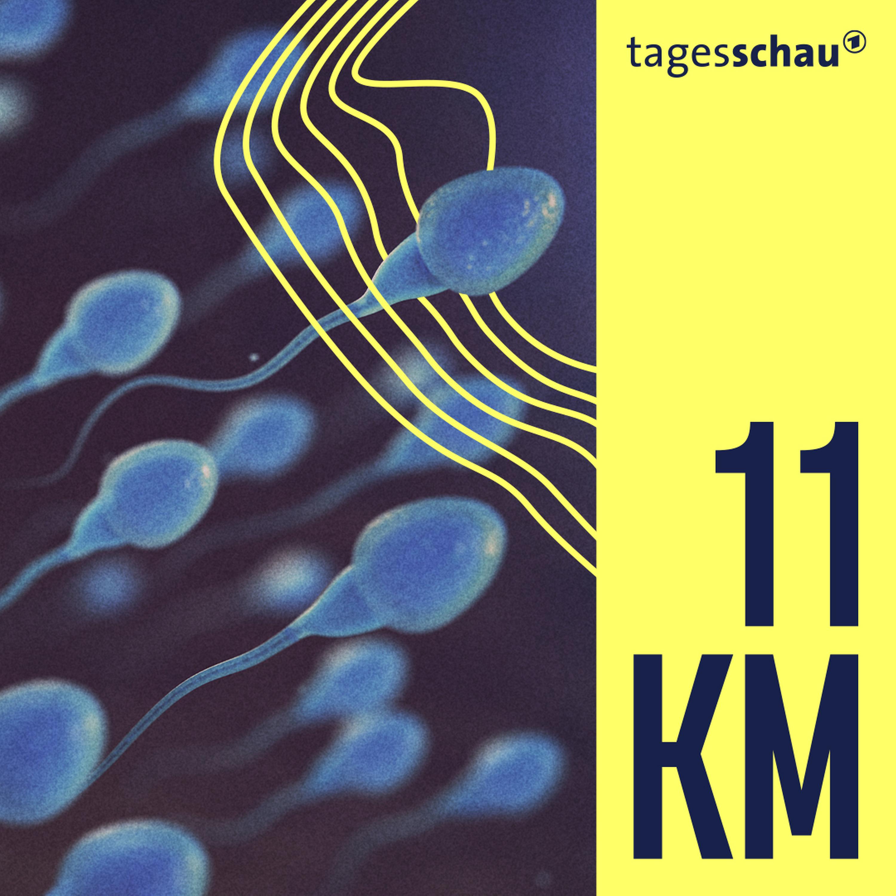 Ei, ei, ei, die Spermakrise