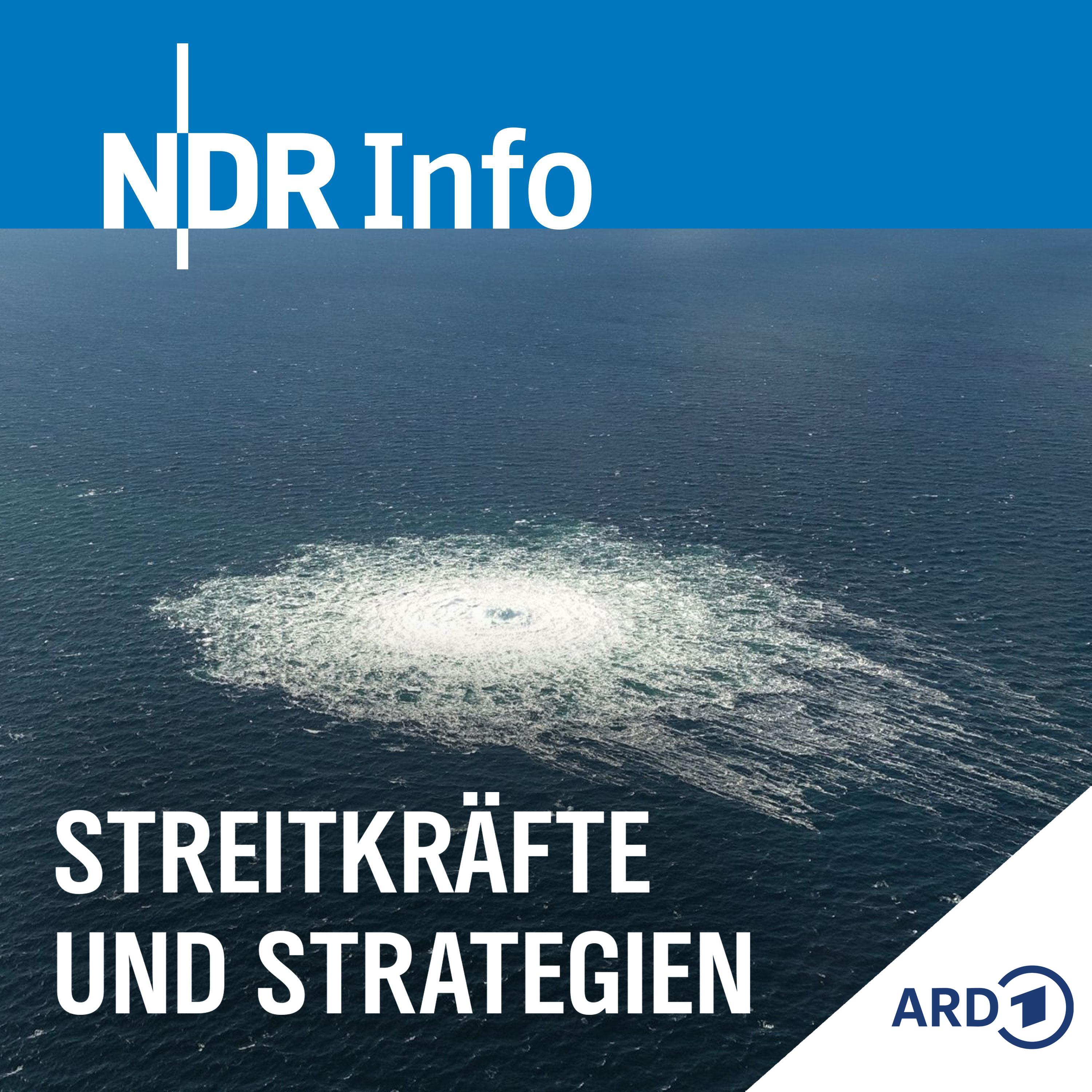 Der Nord-Stream-Krimi (mit Holger Stark) episode artwork