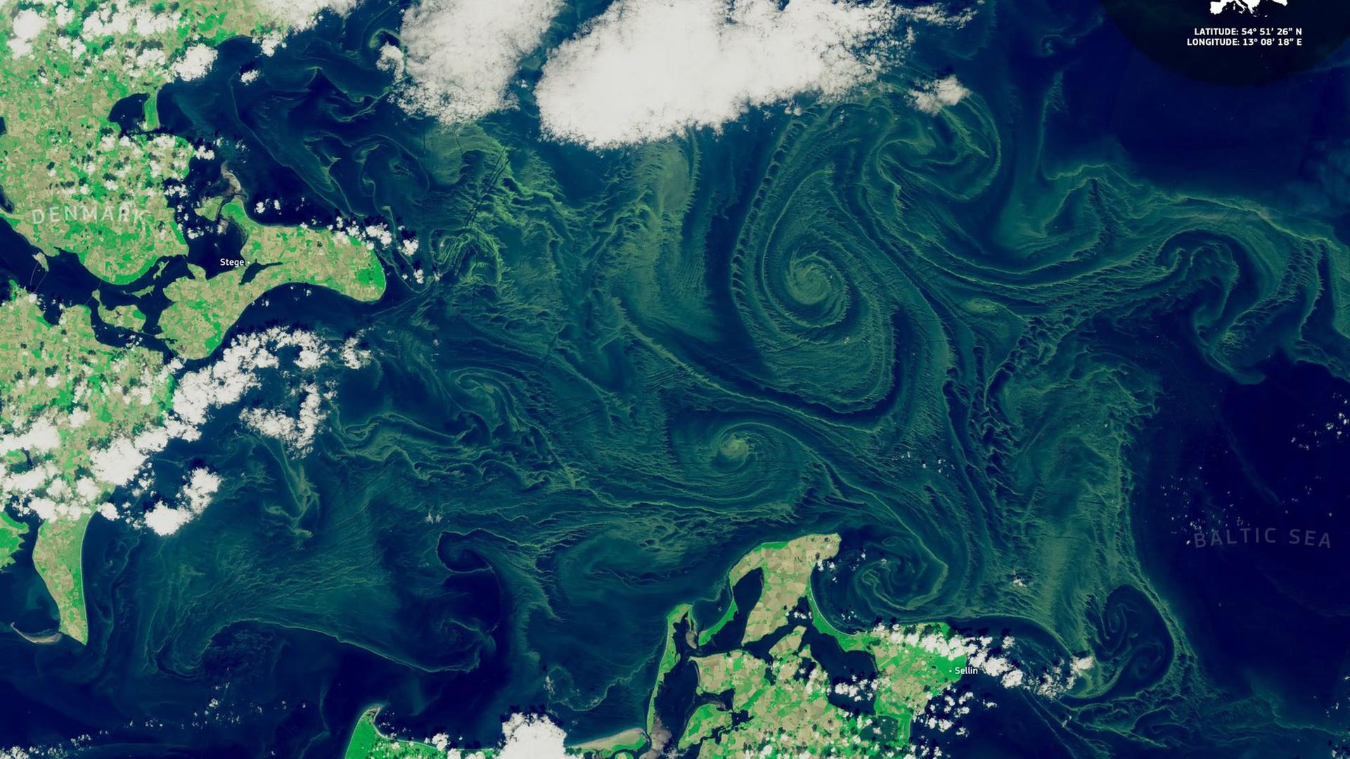 Blaualgen: Badeverbote und Warnungen an Ostsee-Stränden und Seen