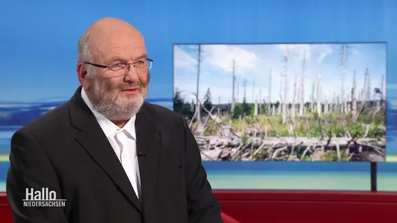 Günther Seckmeyer. | Screenshot Günther Seckmeyer.