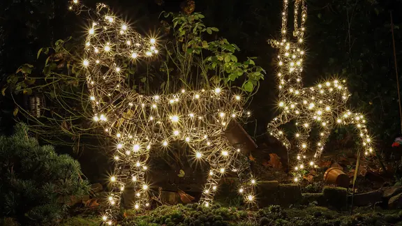 Tiere aus LED-Lichtern stehen als Weihnachts-Deko in einem Garten.