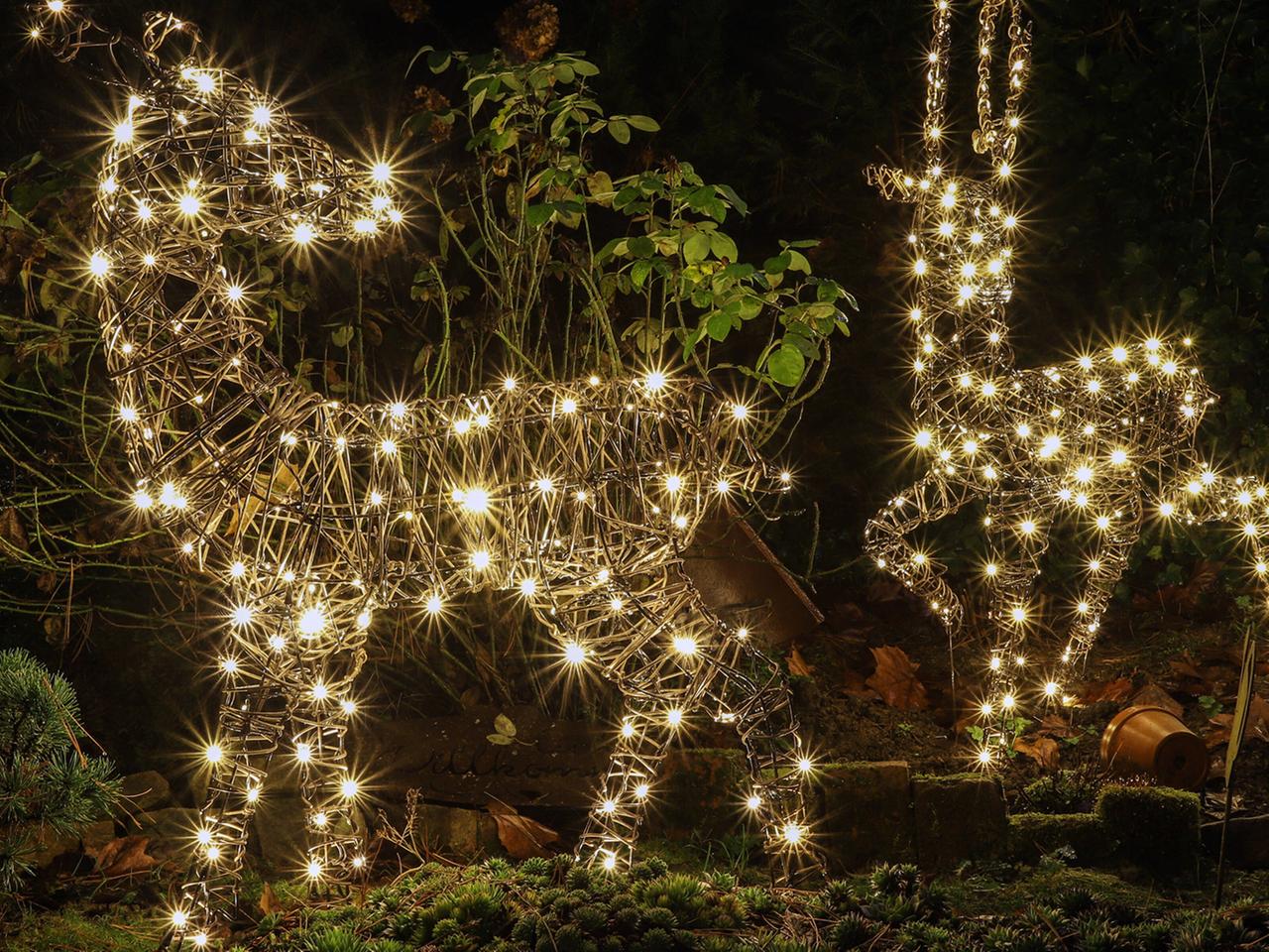 Weihnachtsbeleuchtung sparsam einsetzen und so Tiere schonen