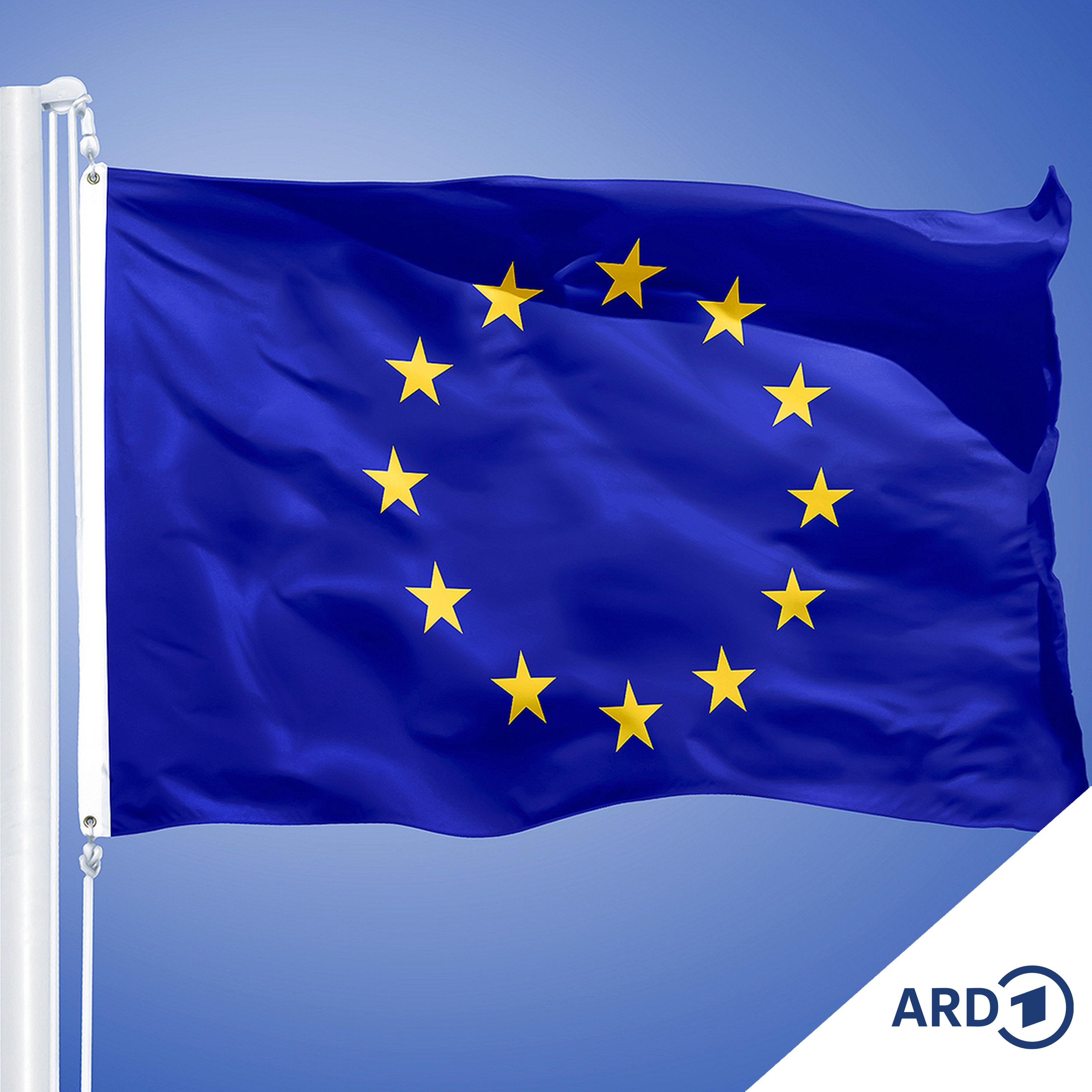 Zollchaos: Trumps Handelskrieg und Europas Chancen