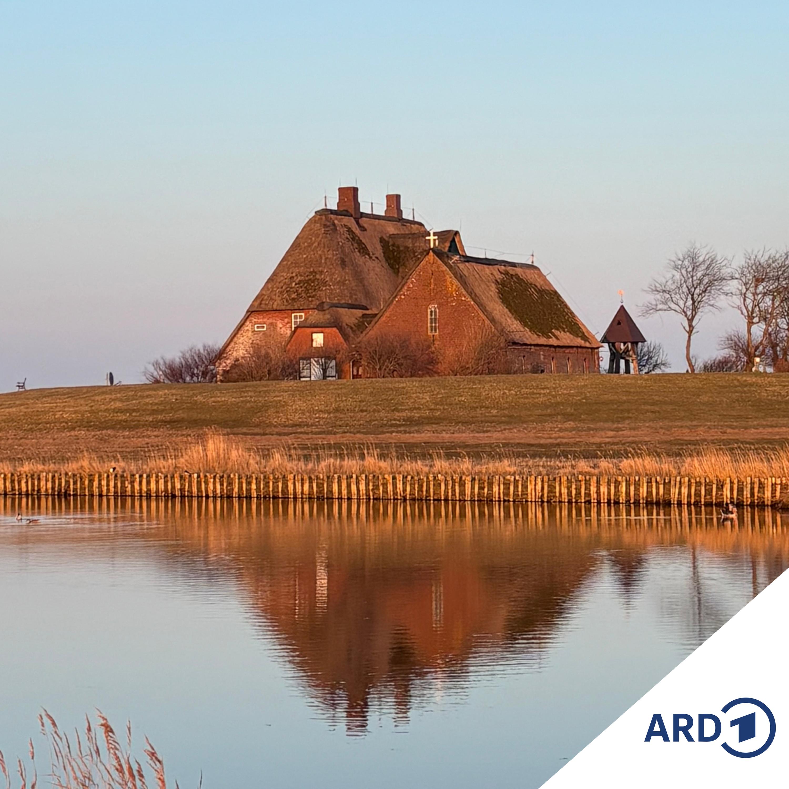 Wellen, Wind und Weite: Zwei Wochen auf Hallig Hooge episode artwork
