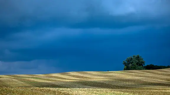 Dunkle Regenwolken verdunkeln den Himmel über einem abgeernteten Getreidefeld. | picture-alliance, dpa | Jens Büttner Dunkle Regenwolken verdunkeln den Himmel über einem abgeernteten Getreidefeld.