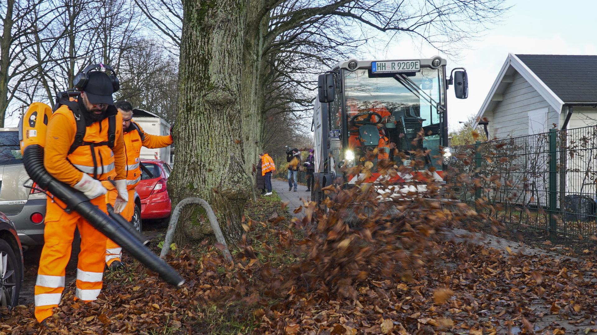 Hamburg: Naturschützer fordern Einschränkungen bei Laubbläsern