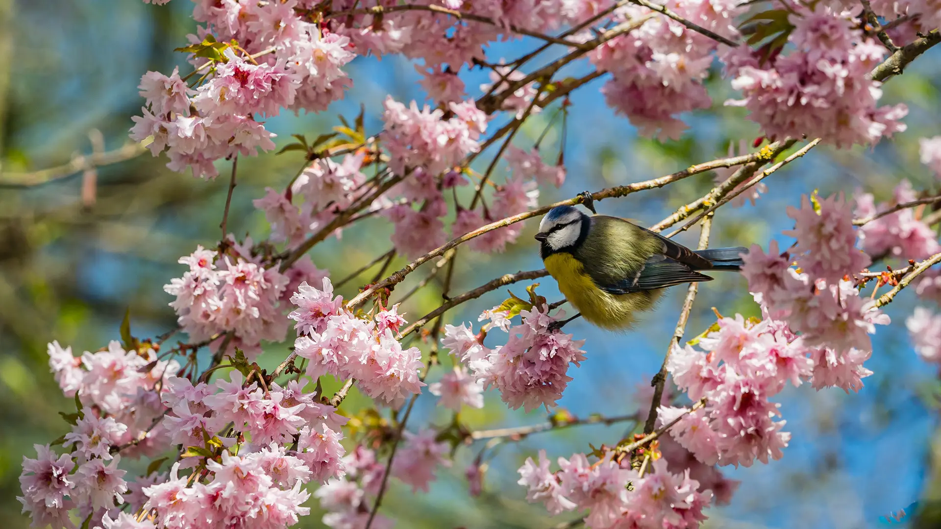Bilder aus Schleswig-Holstein: Die schönsten Zuschauerfotos aus KW 17