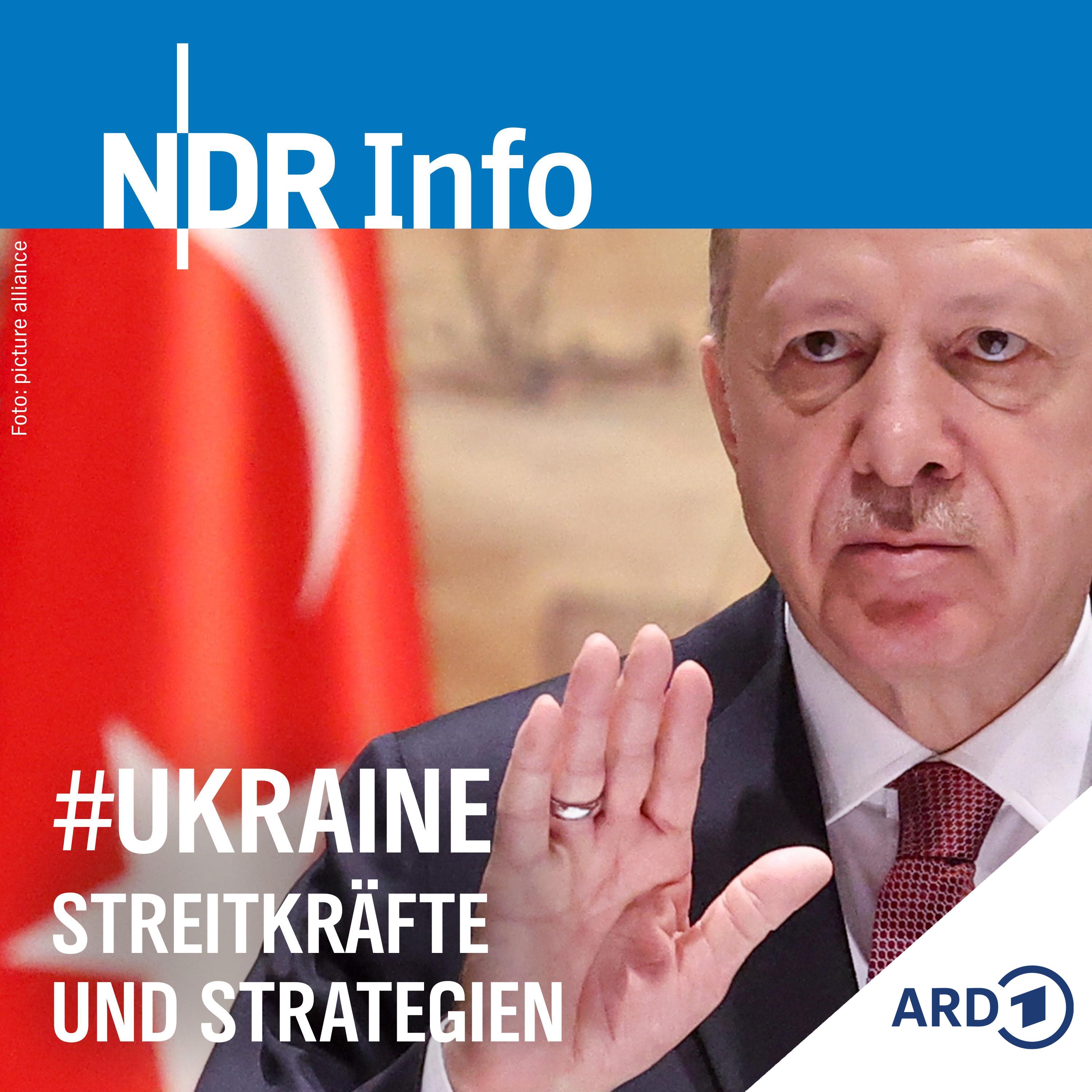 Erdogan der Vermittler (Tag 34) episode artwork