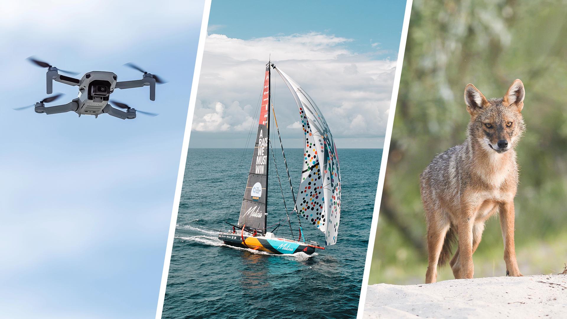 Jahresrückblick: Das war 2025 in Schleswig-Holstein