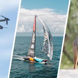 Eine Collage zum Jahresrückblick 2025 mit Drohne, Segelboot, Goldschakal.