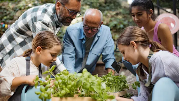 Kinder und Erwachsene pflanzen Kräuter
