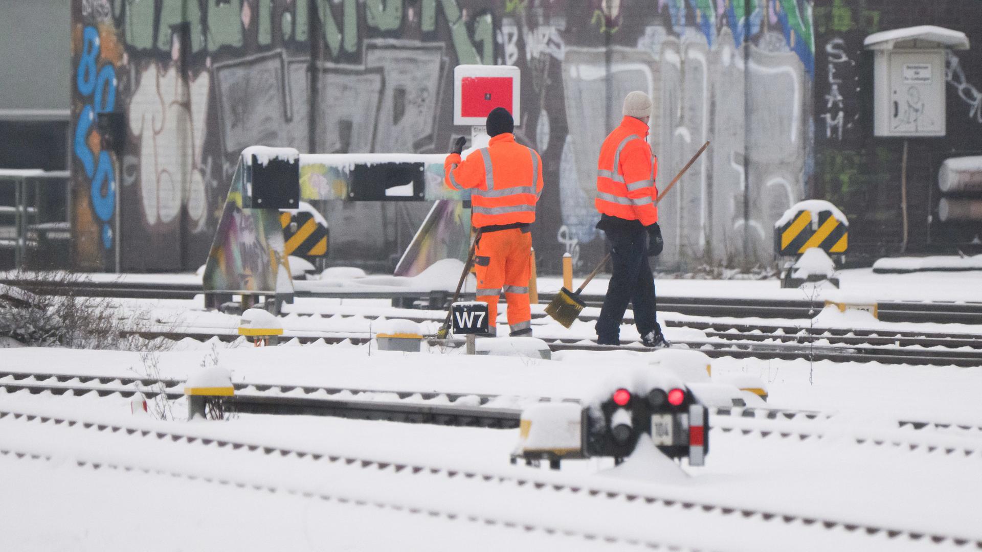 De Woch up Platt in MV: Båhn-Winter, Robben, Karneval un ein Adebor