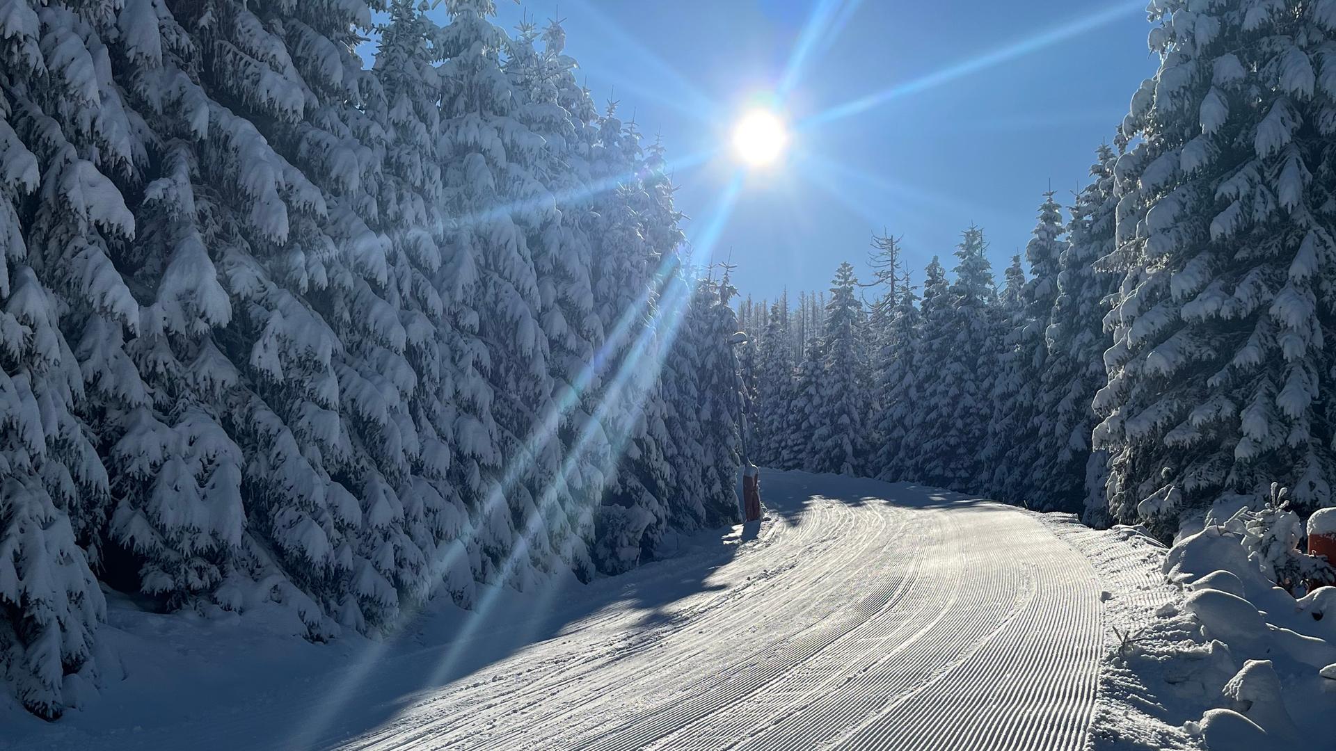 Ein verschneiter Weg im Harz | Frank Leppla, Biathlon- und Langlauf-Landesleistungszentrum Sonnenberg