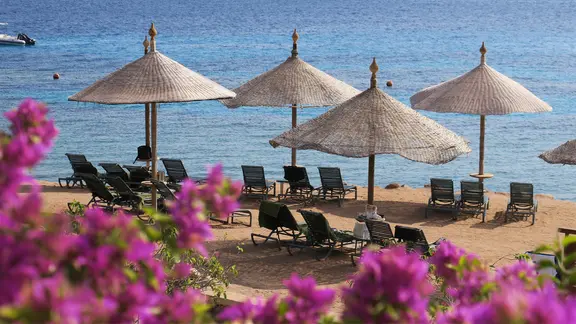 Strandliegen am Roten Meer. Im Vordergrund Blumen.