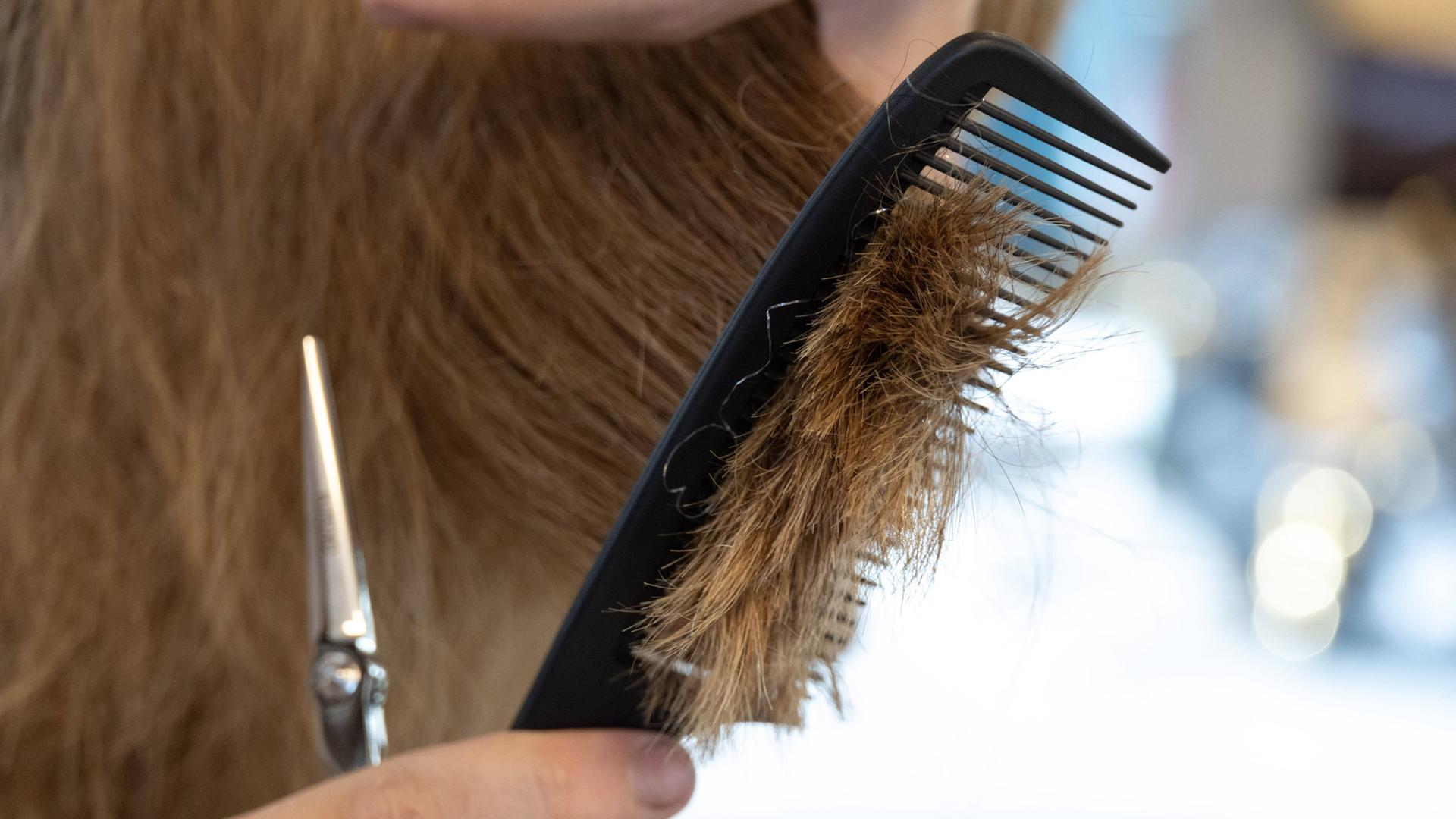 Friseur schneidet die Haare eines Kunden  | picture alliance, SIPA, SYSPEO