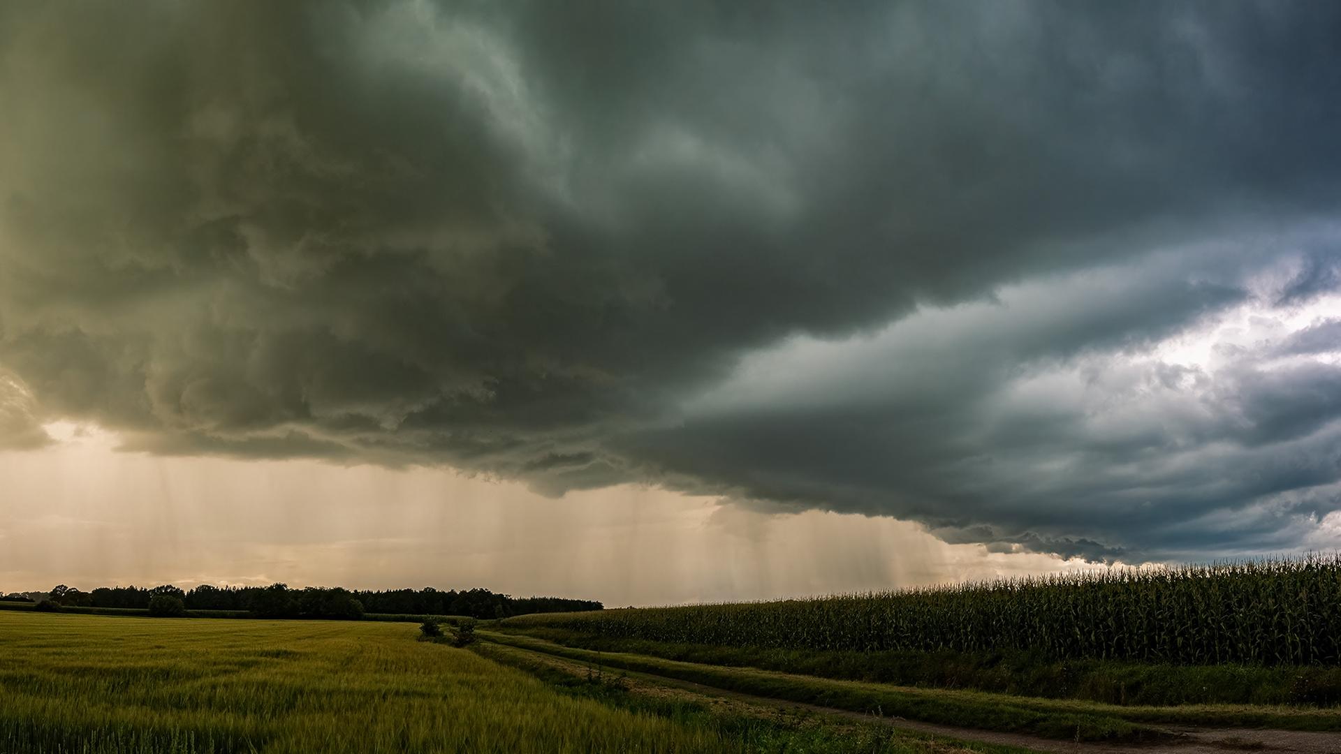 Gewitter und Sturm wüten in SH: Mehr als 170 nächtliche Einsätze