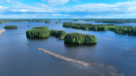 Mehrere hundert Meter Baumstämme auf dem Wasser.