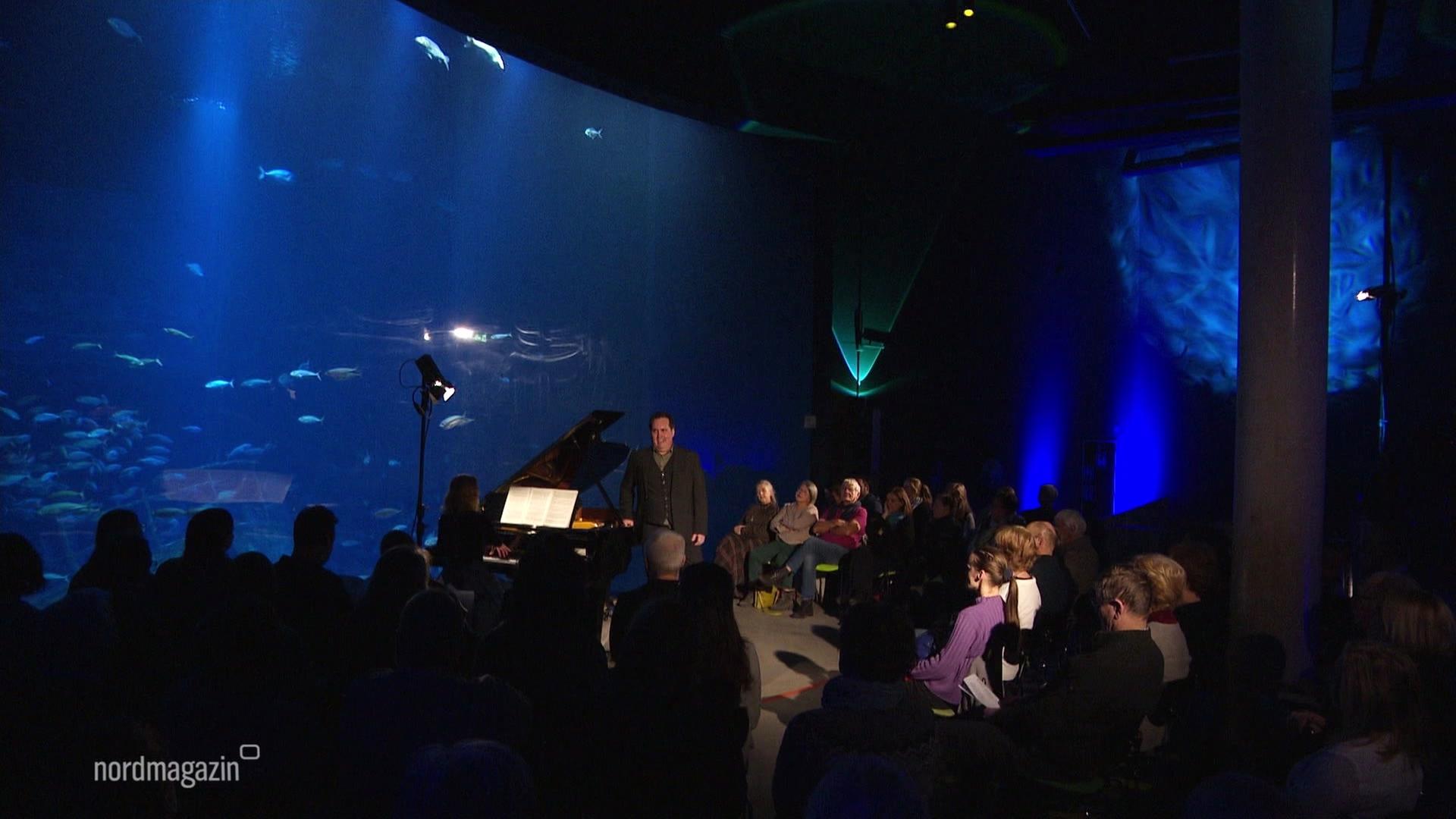 Stralsund: "Die Weite des Ozeans" - Konzert im Ozeaneum