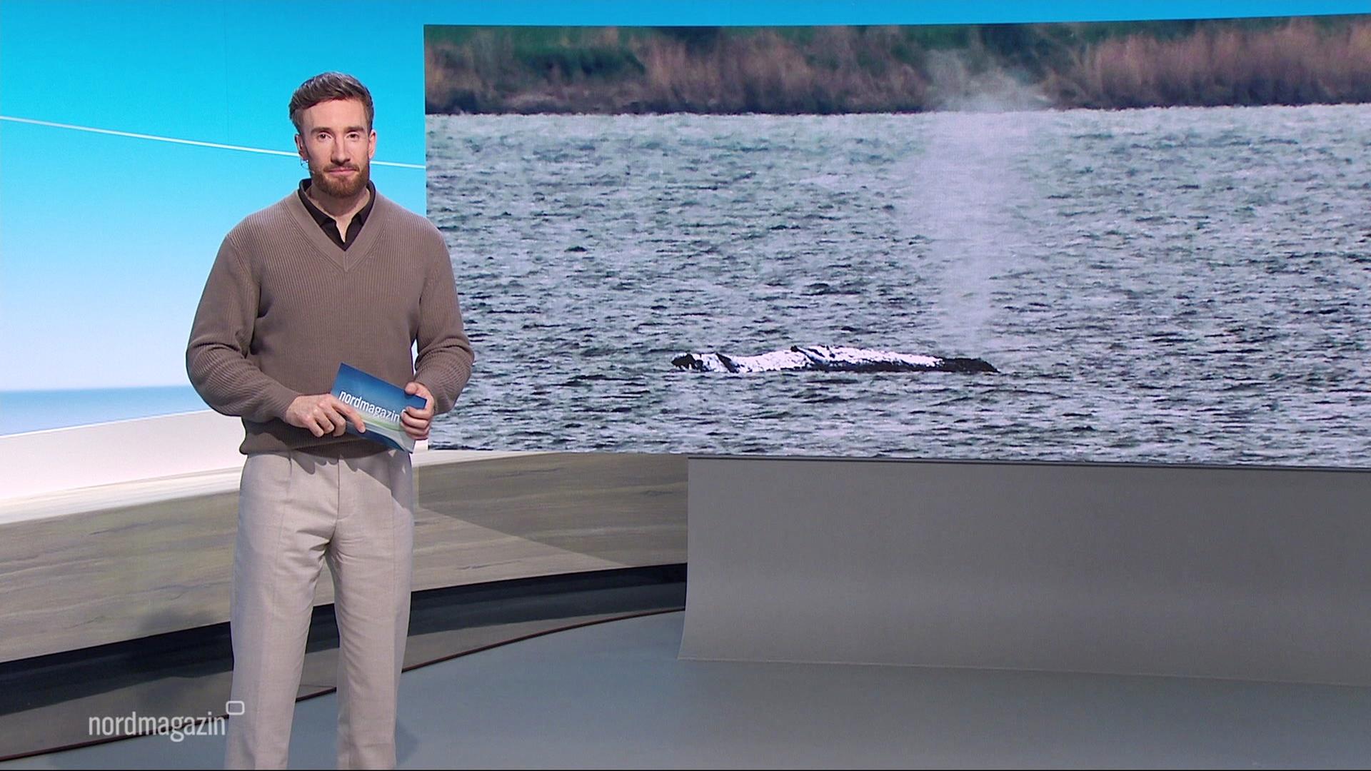 Stefan Leyh moderiert das Nordmagazin. | Screenshot