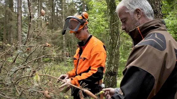 zwei Männer in Arbeitskleidung stehen in einem Wald