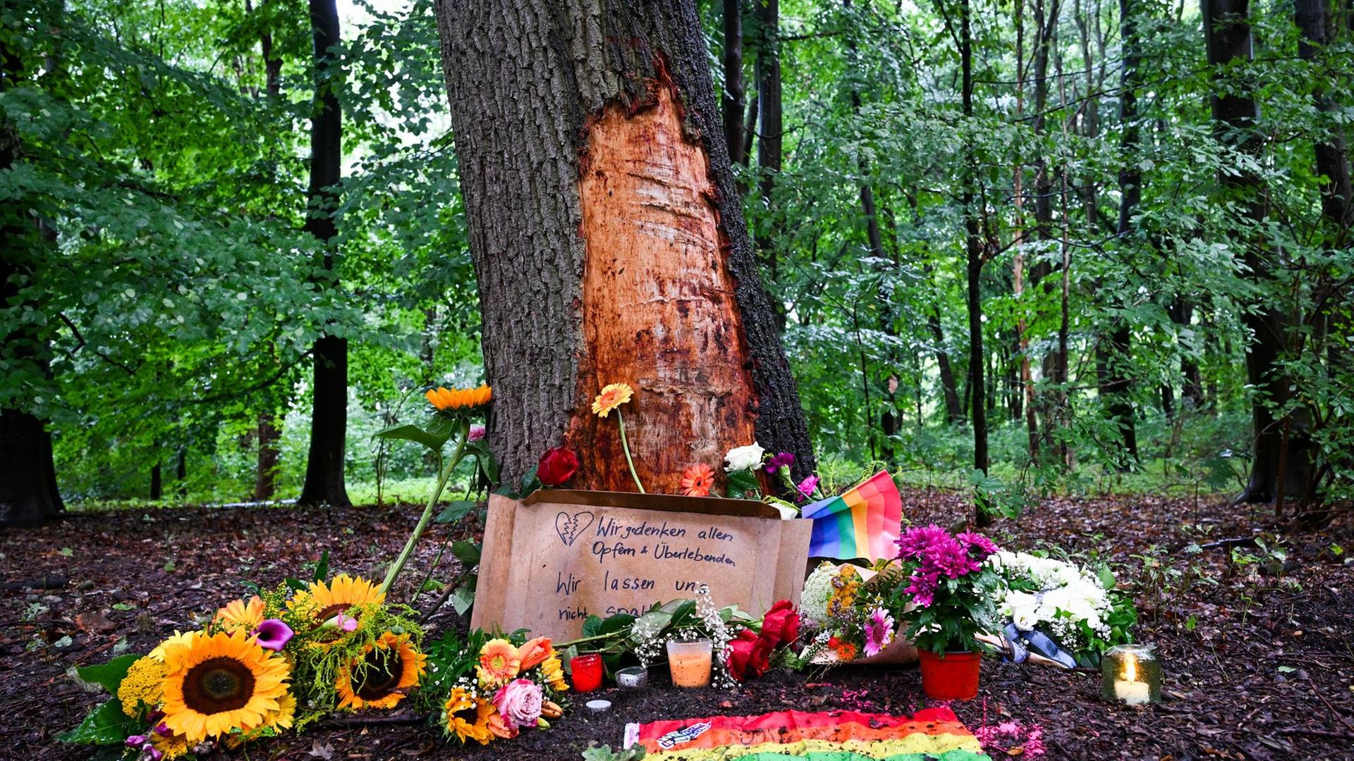 Blumen und Kerzen sind zum Gedenken in Berlin vor einem kaputten Baum drapiert. | Soeren Stache/dpa