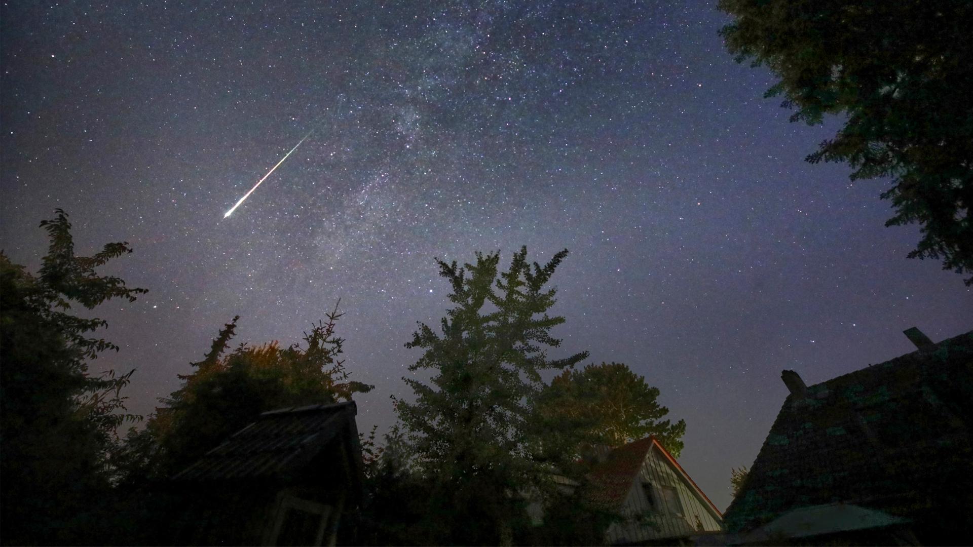 Venus am Nachthimmel: Diese Astro-Highlights erwartet SH 2026