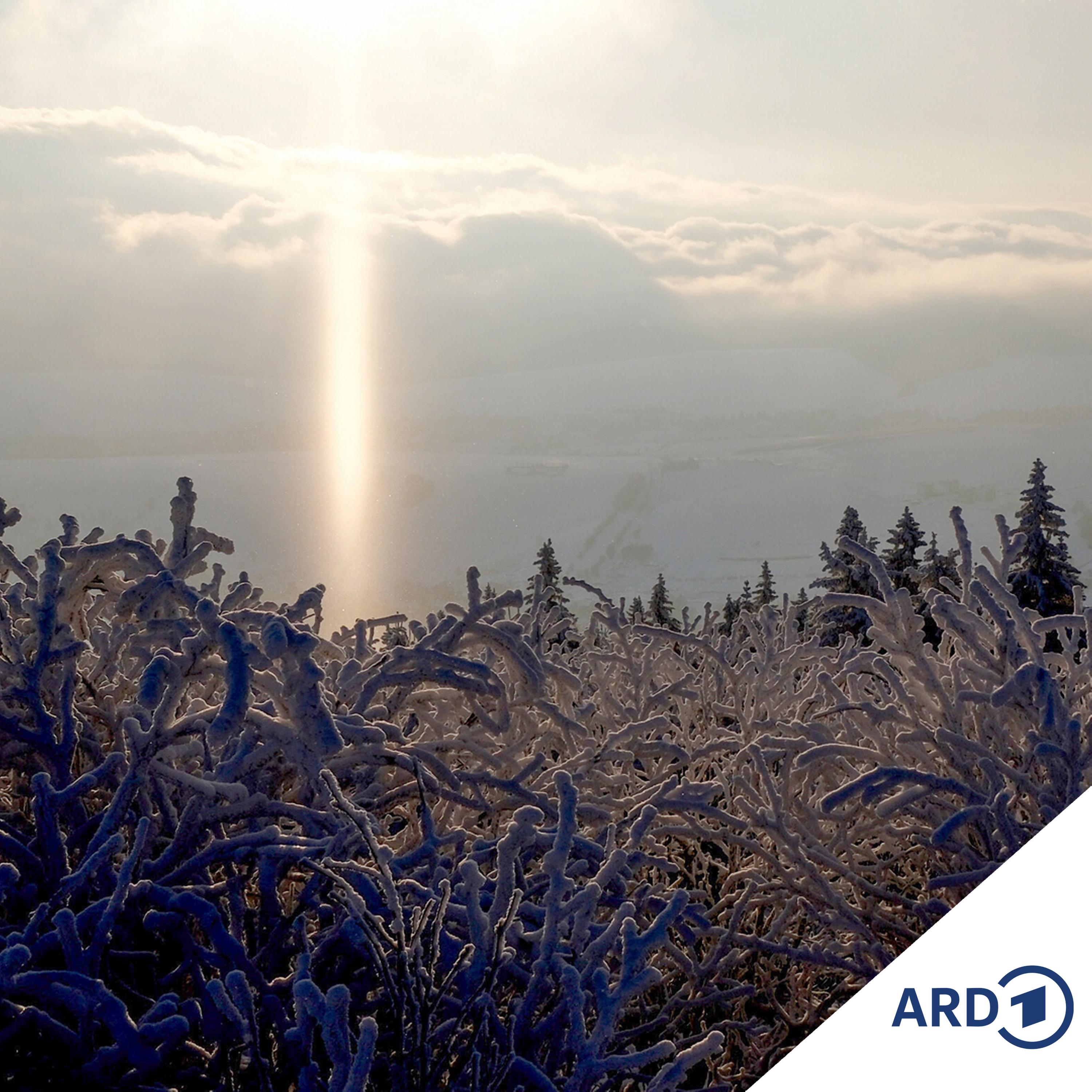 Weihnachtsgedanken - Auf silberner Schale Schnee
